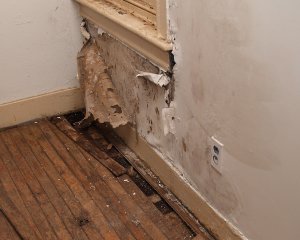 How to identify a water leak